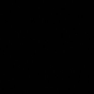 Meet your Posher, Avaava